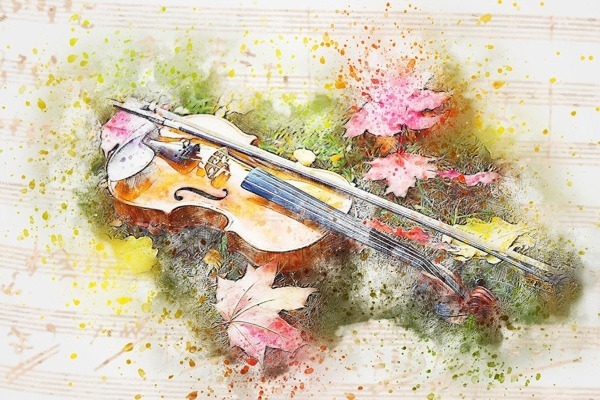 Geige in der Natur. Heilkraft der Musik.